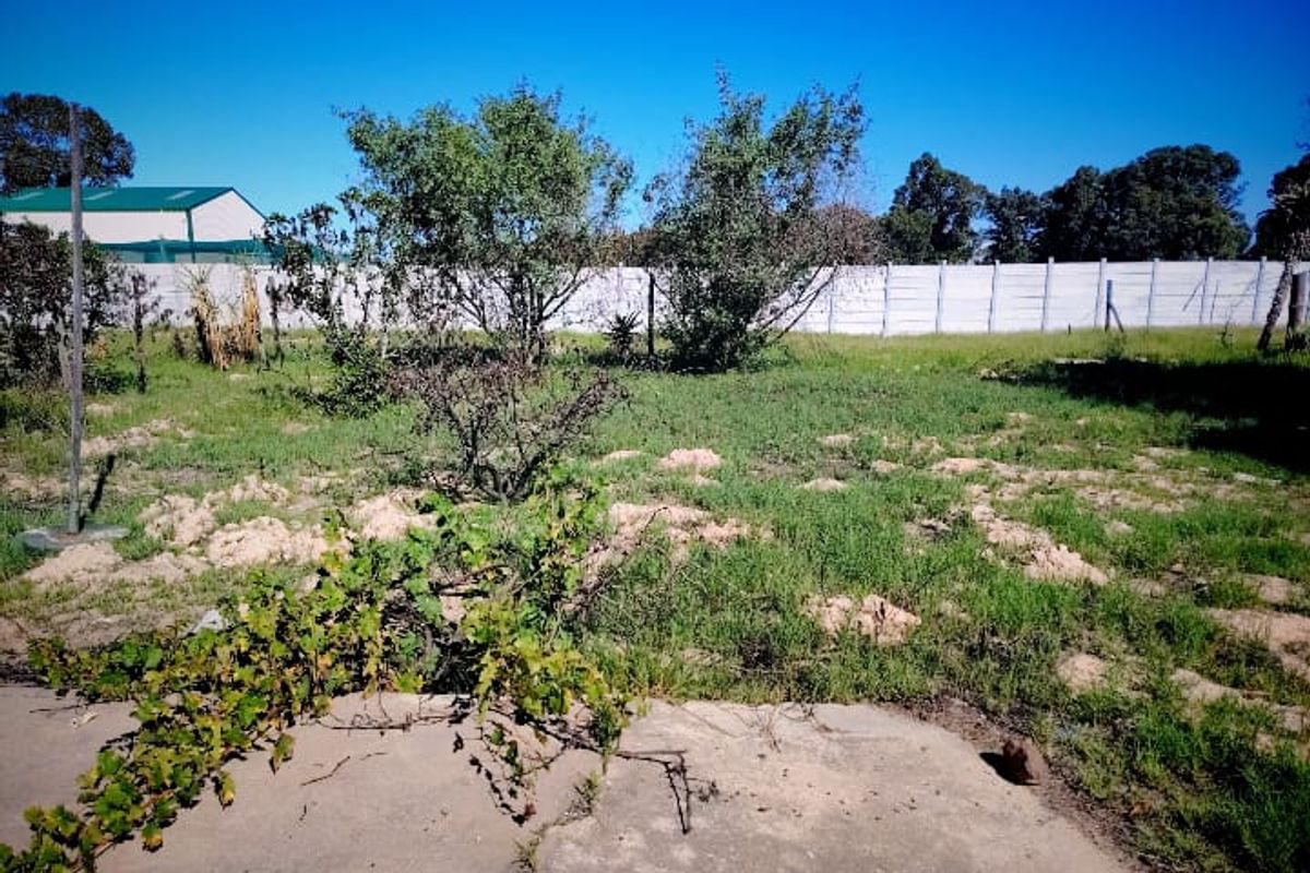 A view of a vacant residential plot featuring a concrete slab, perimeter fencing, and established garden vegetation.