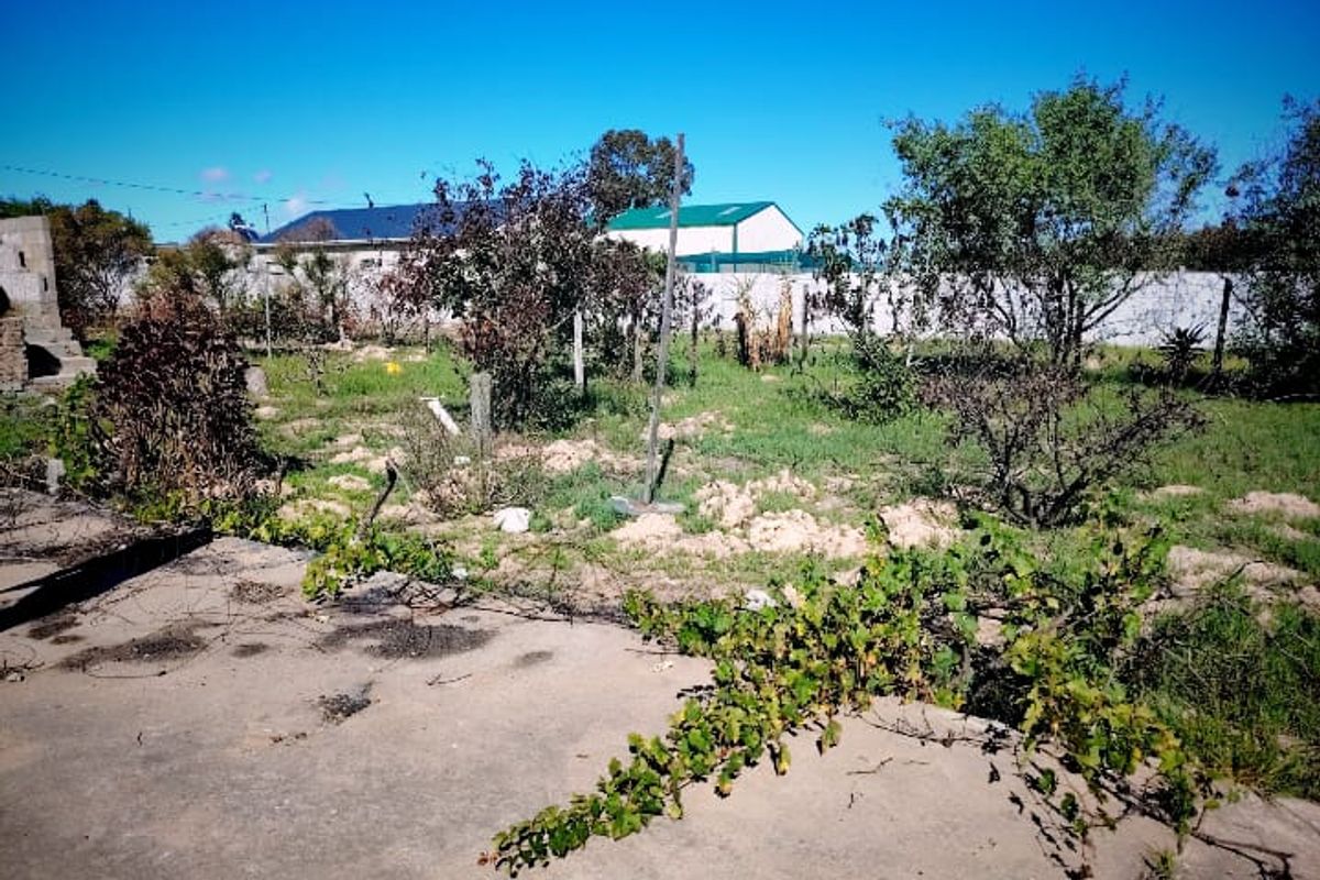 A view of a vacant residential plot featuring a concrete base, established trees, and perimeter boundary walling.