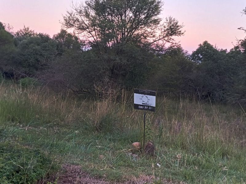 14 857m2 DEVELOPMENT STAND FOR SALE – KORO CREEK BUSHVELD GOLF ESTATE - Photo 10