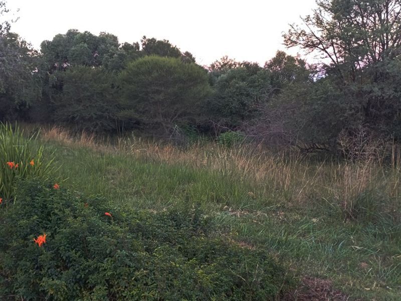 14 857m2 DEVELOPMENT STAND FOR SALE – KORO CREEK BUSHVELD GOLF ESTATE - Photo 8