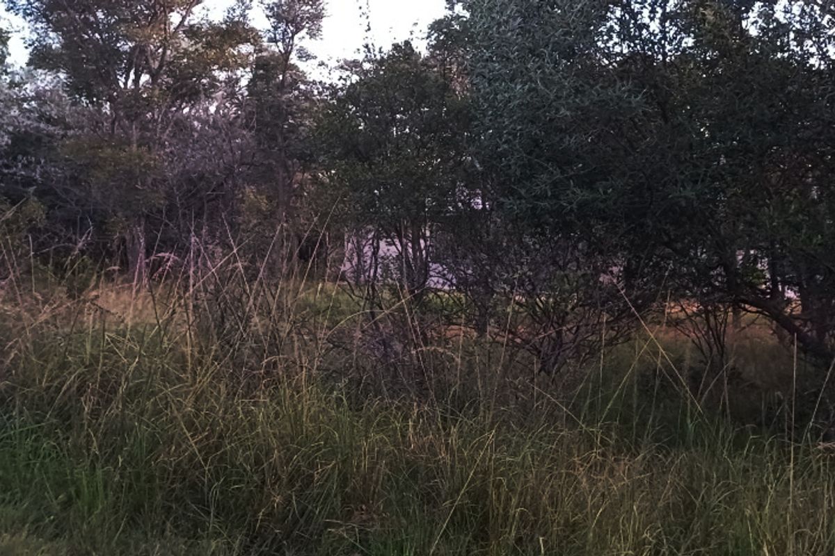 PRIME 1,140 m2 STAND IN PRESTIGIOUS KORO CREEK BUSHVELD GOLF ESTATE - Photo 5