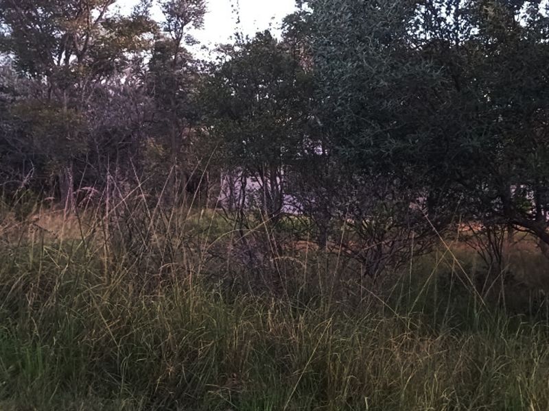 PRIME 1,140 m2 STAND IN PRESTIGIOUS KORO CREEK BUSHVELD GOLF ESTATE - Photo 5