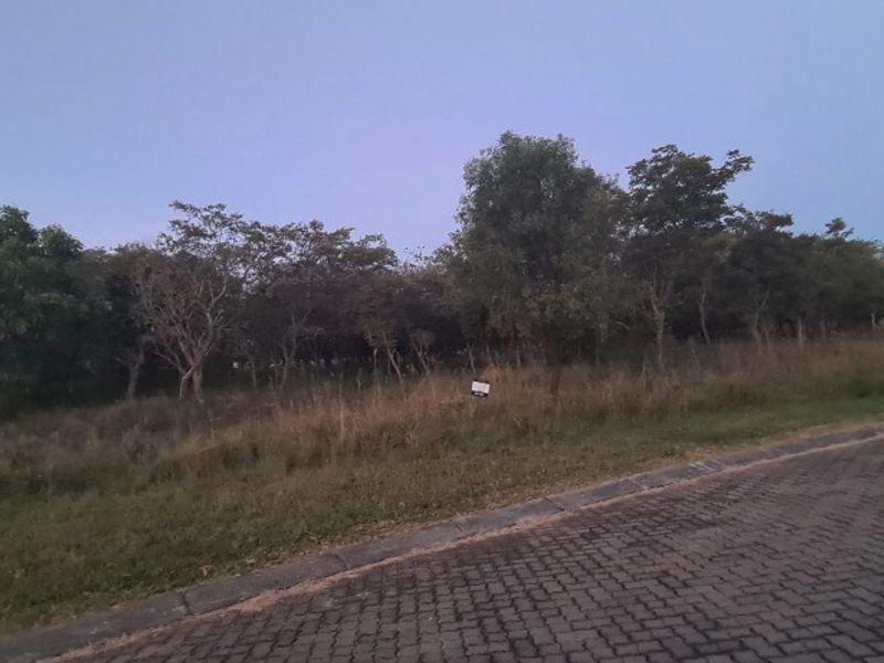 PRIME 1,140 m2 STAND IN PRESTIGIOUS KORO CREEK BUSHVELD GOLF ESTATE - Photo 8