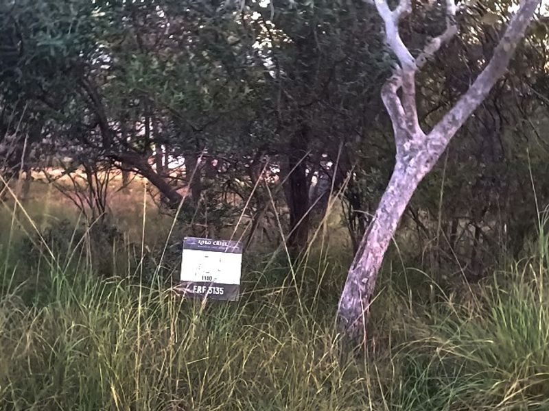 PRIME 1,140 m2 STAND IN PRESTIGIOUS KORO CREEK BUSHVELD GOLF ESTATE - Photo 7