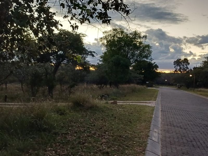 PRIME 1,140 m2 STAND IN PRESTIGIOUS KORO CREEK BUSHVELD GOLF ESTATE - Photo 6