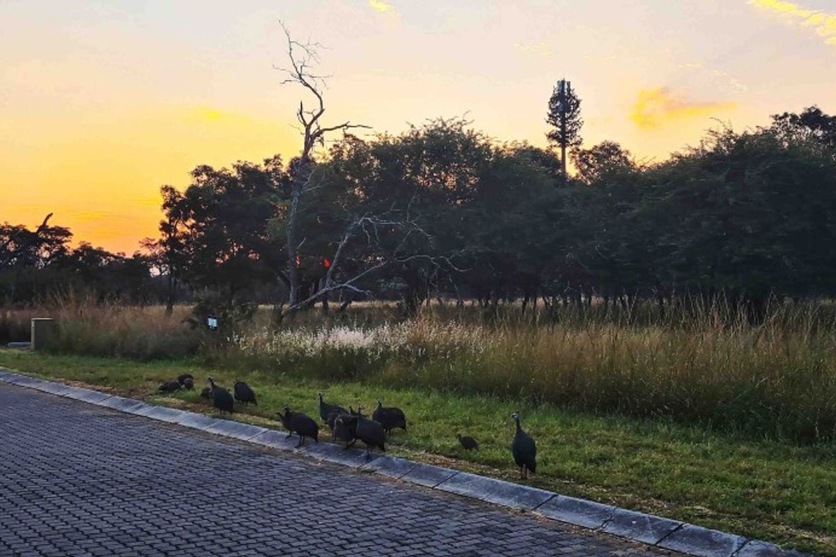 PRIME 1,140 m2 STAND IN PRESTIGIOUS KORO CREEK BUSHVELD GOLF ESTATE - Photo 3