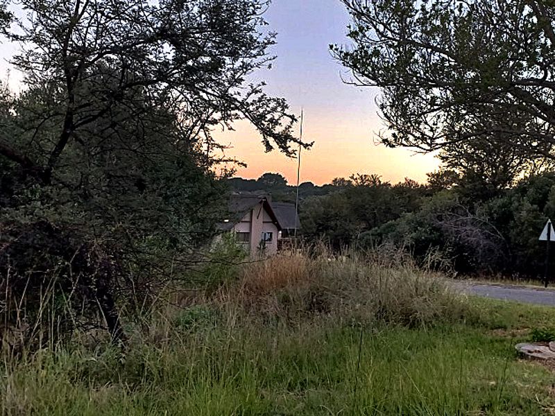 PRIME 1,140 m2 STAND IN PRESTIGIOUS KORO CREEK BUSHVELD GOLF ESTATE - Photo 4