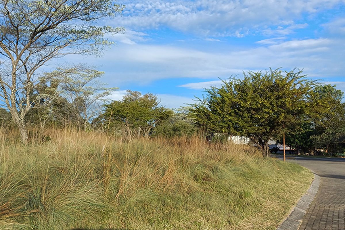 DESCRIPTION FOR KORO CREEK STAND 3156 - Photo 5