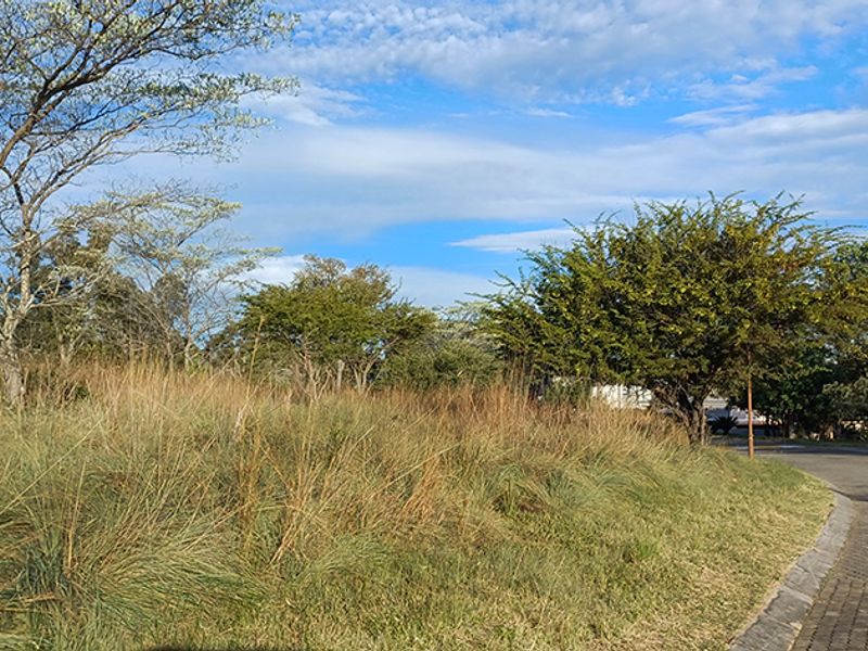 DESCRIPTION FOR KORO CREEK STAND 3156 - Photo 5