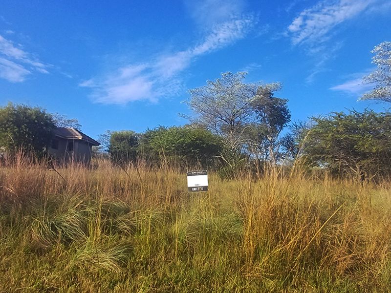 DESCRIPTION FOR KORO CREEK STAND 3156 - Photo 6