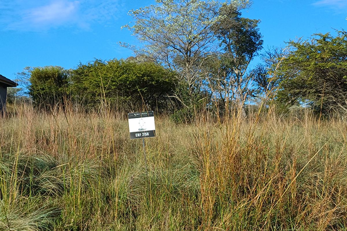 DESCRIPTION FOR KORO CREEK STAND 3156 - Photo 4