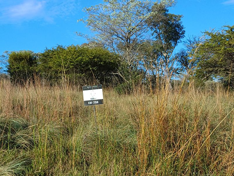 DESCRIPTION FOR KORO CREEK STAND 3156 - Photo 4