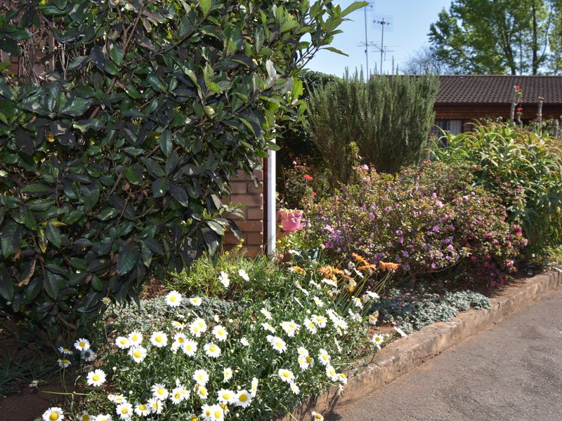 Secure Residential Estate for the Over Fifties - Photo 6