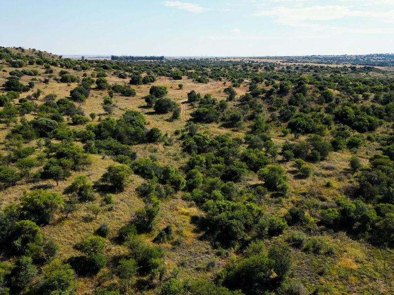 Vrystaat Wildsplaas te koop met Waterregte Ingesluit - Photo 8