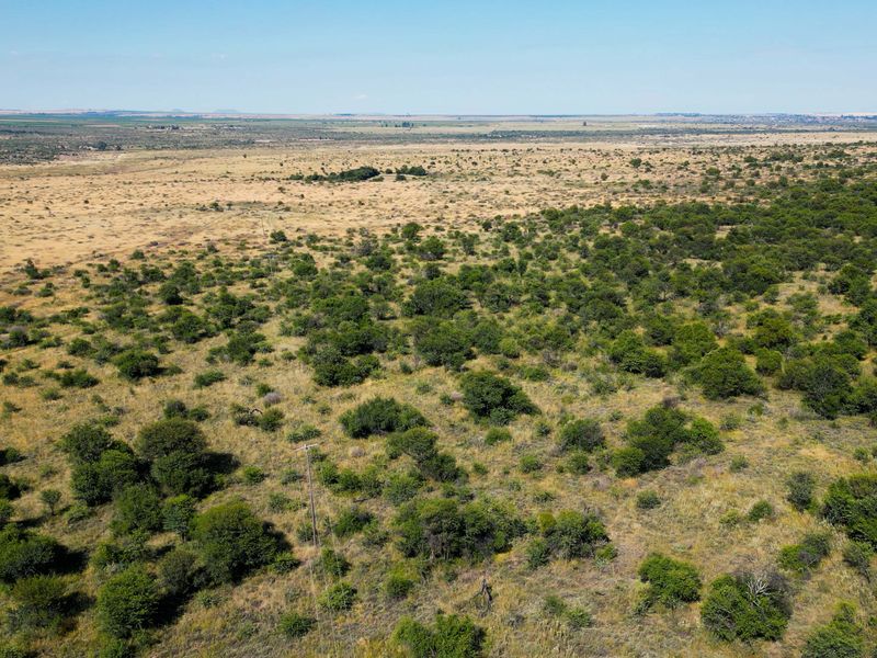 Vrystaat Wildsplaas te koop met Waterregte Ingesluit - Photo 7