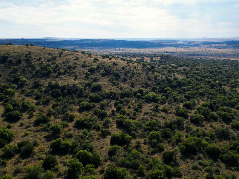 Vrystaat Wildsplaas te koop met Waterregte Ingesluit - Photo 4