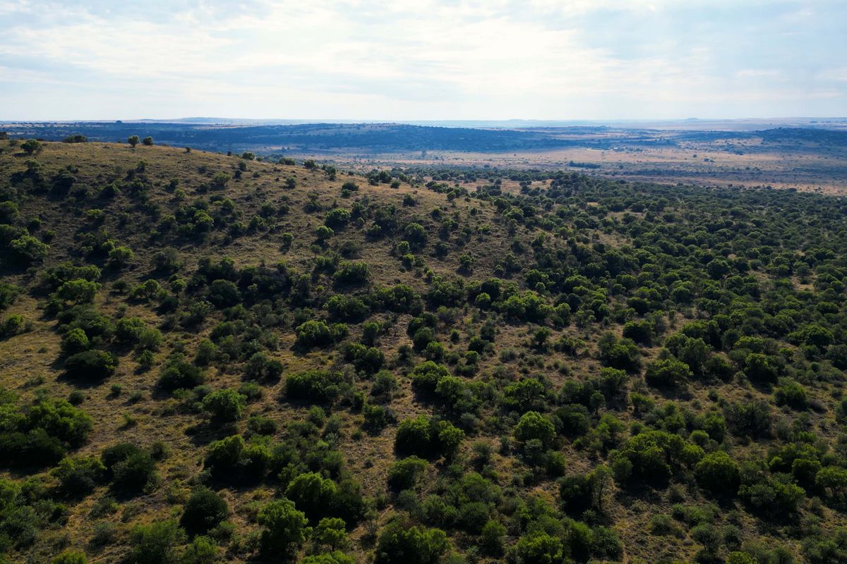 Vrystaat Wildsplaas te koop met Waterregte Ingesluit - Photo 4