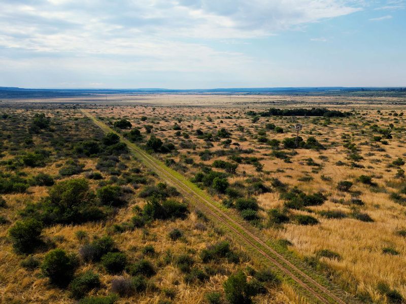 Vrystaat Wildsplaas te koop met Waterregte Ingesluit - Photo 10