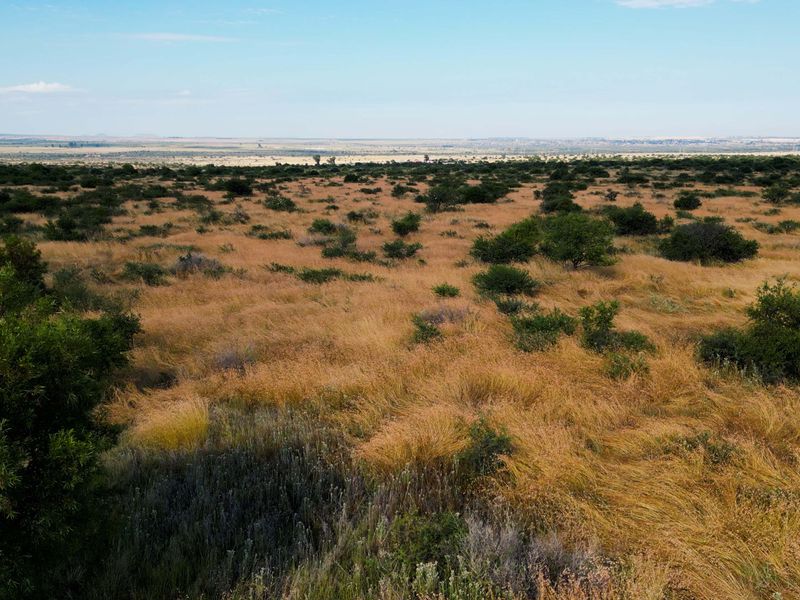 Vrystaat Wildsplaas te koop met Waterregte Ingesluit - Photo 9