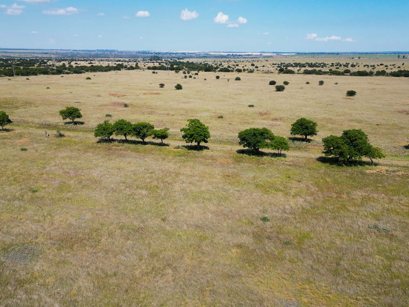 Vrystaat Wildsplaas te koop met Waterregte Ingesluit - Photo 2