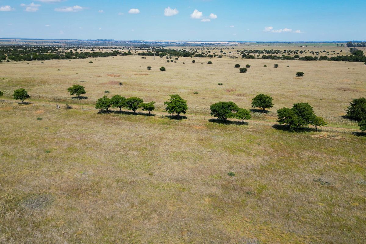 Vrystaat Wildsplaas te koop met Waterregte Ingesluit - Photo 2