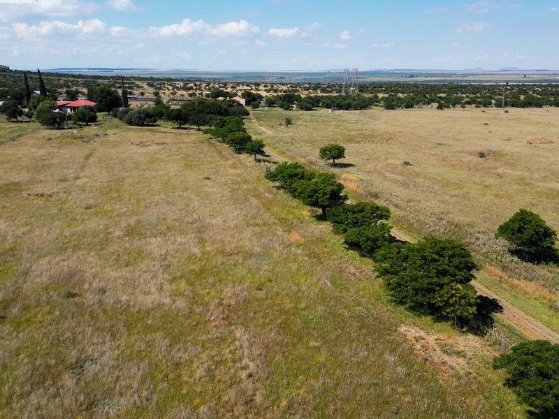 Vrystaat Wildsplaas te koop met Waterregte Ingesluit - Photo 3