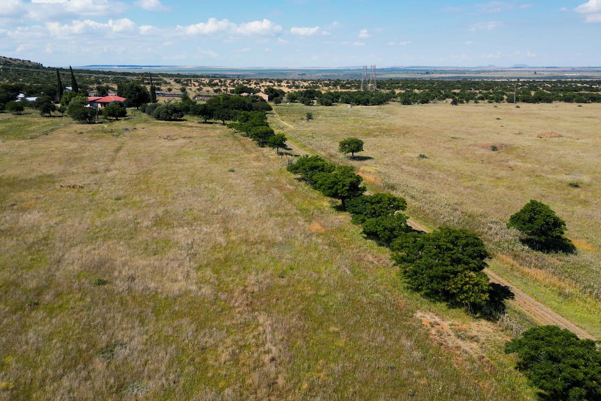 Vrystaat Wildsplaas te koop met Waterregte Ingesluit - Photo 3