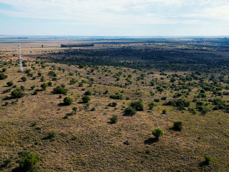 Vrystaat Wildsplaas te koop met Waterregte Ingesluit - Photo 5