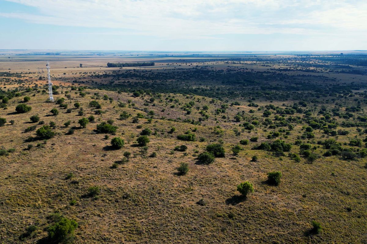 Vrystaat Wildsplaas te koop met Waterregte Ingesluit - Photo 5
