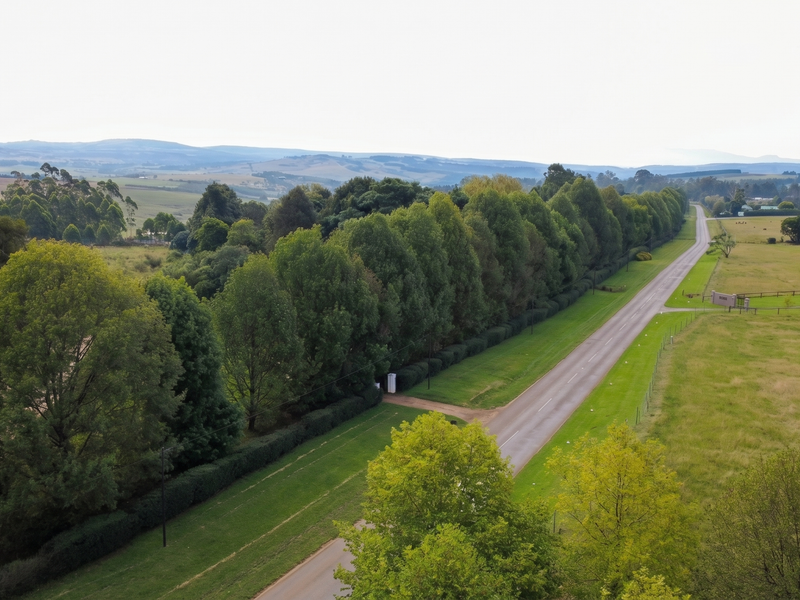 Prime 3.5ha Development Opportunity on Hilton College Road - Photo 3