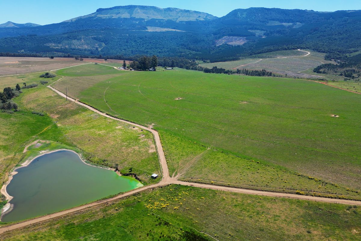 406 hectares. Various Properties. One irrigation-backed dairy platform. - Photo 2