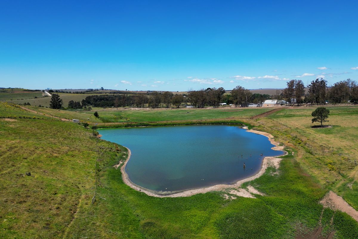 406 hectares. Various Properties. One irrigation-backed dairy platform. - Photo 3