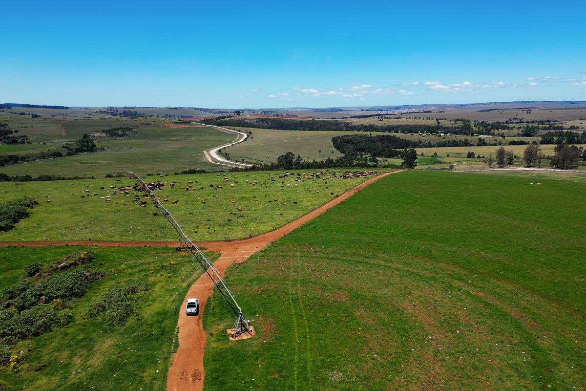 406 hectares. Various Properties. One irrigation-backed dairy platform. - Photo 3