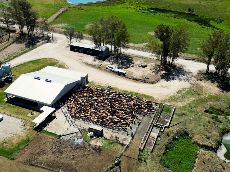 Aerial view of a working farm featuring a large metal shed, livestock holding pens, grain silos, and extensive grazing land.
