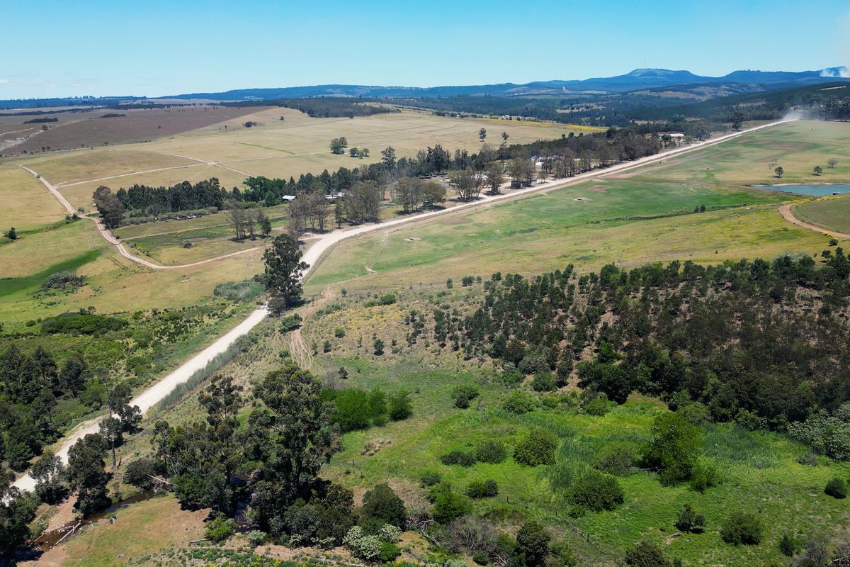 406 hectares. Various Properties. One irrigation-backed dairy platform. - Photo 5