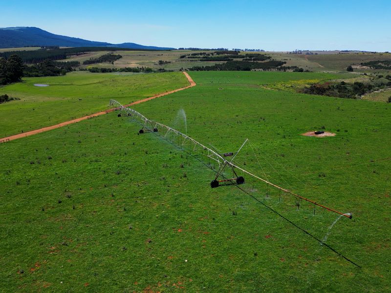 406 hectares. Various Properties. One irrigation-backed dairy platform. - Photo 6