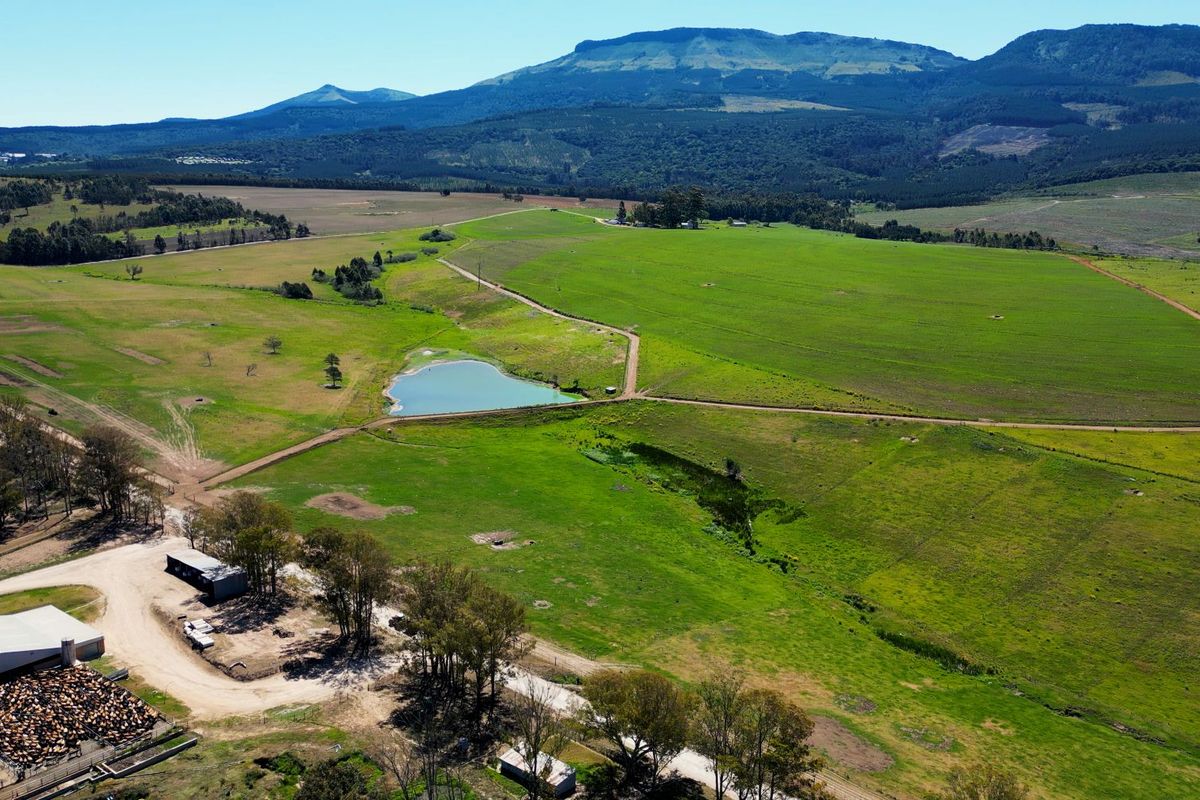 406 hectares. Various Properties. One irrigation-backed dairy platform. - Photo 2
