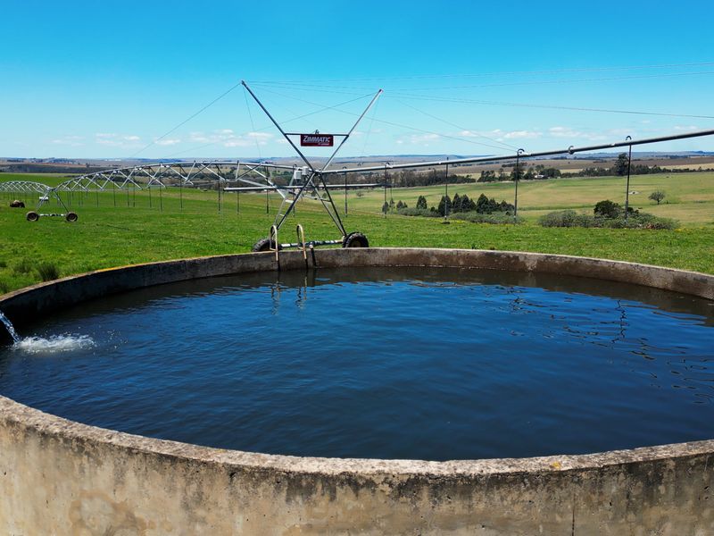 406 hectares. Various Properties. One irrigation-backed dairy platform. - Photo 9