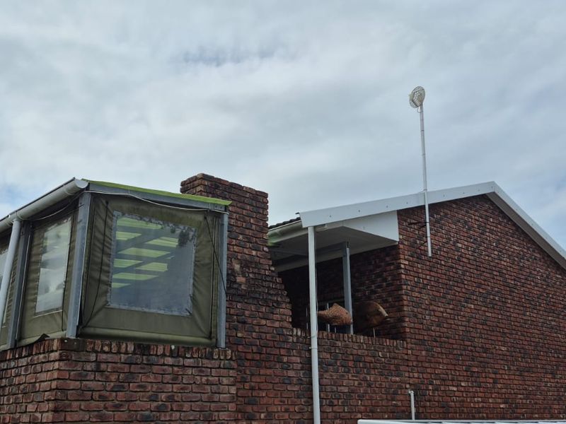 4 bedroom Family haven with modern living, situated in the heart of Cosy Corner. - Photo 2