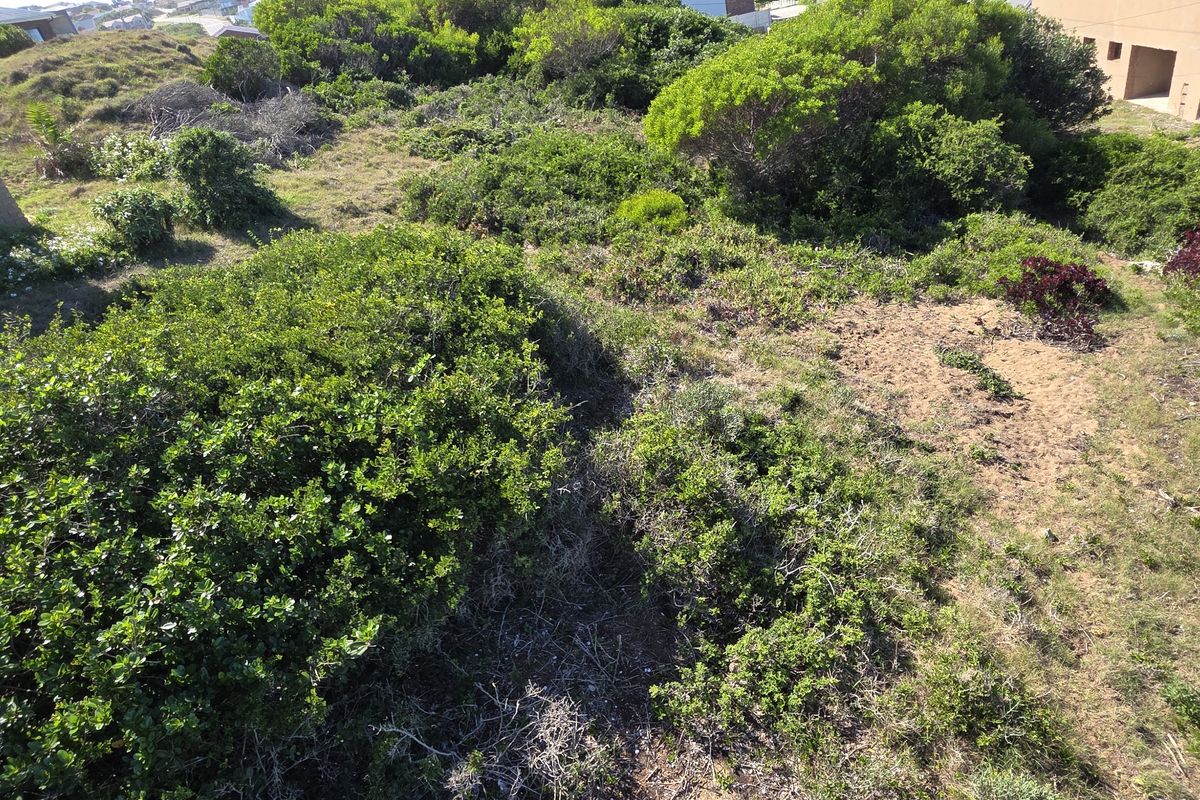 An elevated view of a vacant residential plot featuring natural coastal vegetation, sandy terrain, and adjacent residential structures.