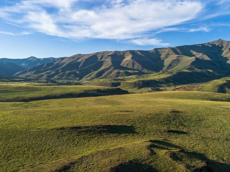 Farm For Sale In Barkly East - Photo 3