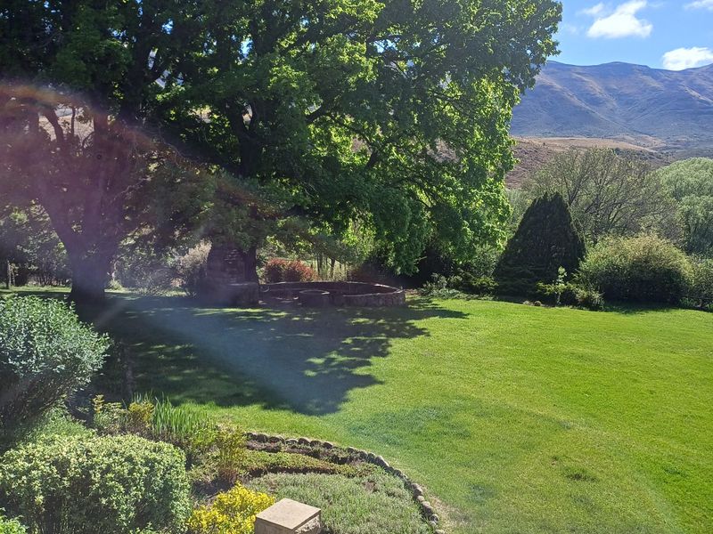 Farm For Sale In Barkly East - Photo 8