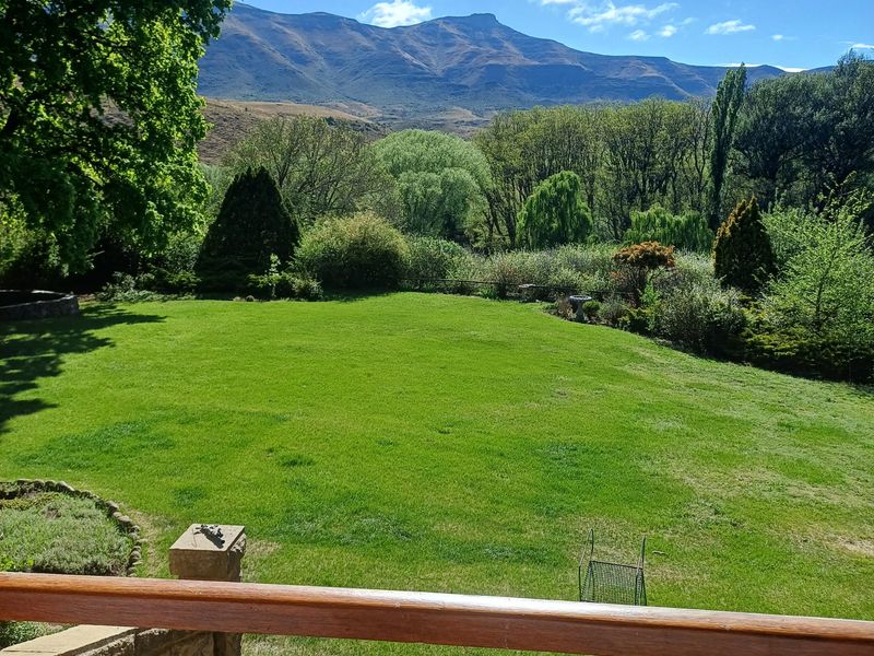 Farm For Sale In Barkly East - Photo 7