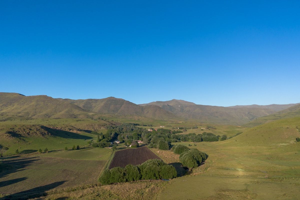 Farm For Sale In Barkly East - Photo 3
