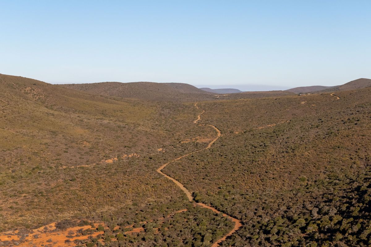 A Rare Hunting Sanctuary in the Heart of the Cockscomb Mountains - Photo 5