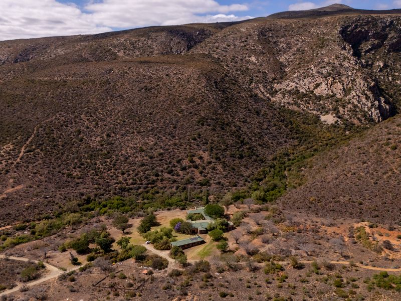 A Rare Hunting Sanctuary in the Heart of the Cockscomb Mountains - Photo 4