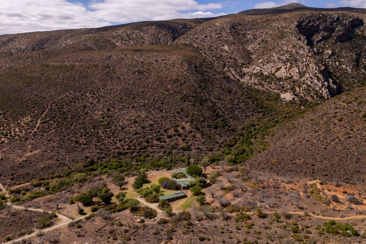 A Rare Hunting Sanctuary in the Heart of the Cockscomb Mountains - Photo 4