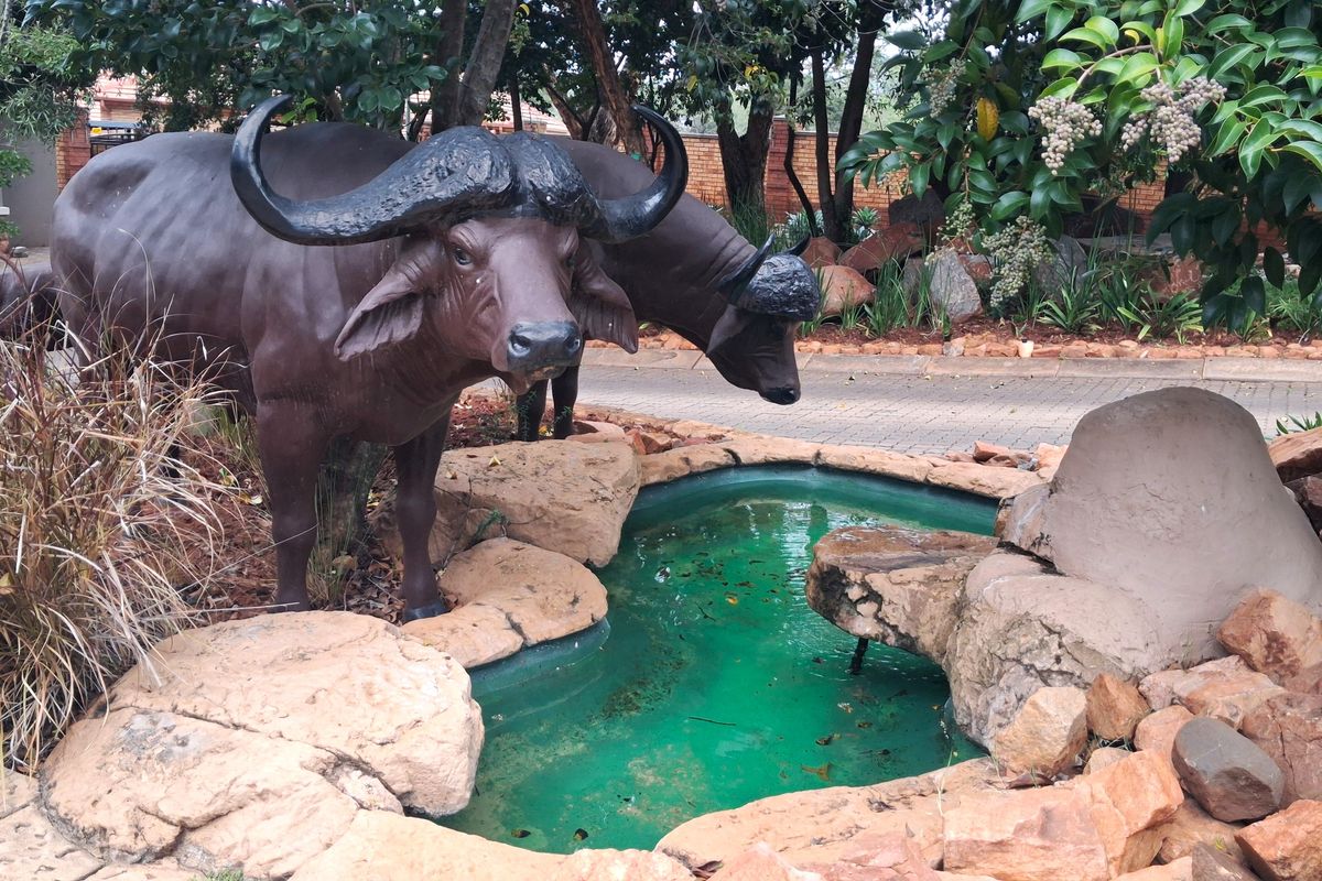 Buffelspoort – Build Your Dream Home in a Secure Eco Estate - Photo 5