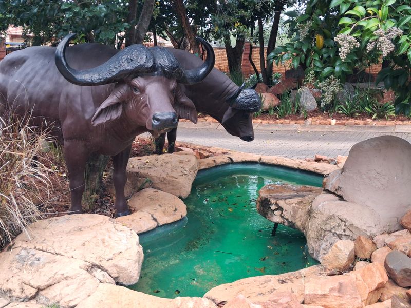 Buffelspoort – Build Your Dream Home in a Secure Eco Estate - Photo 5