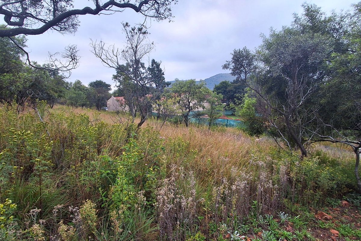 Buffelspoort – Build Your Dream Home in a Secure Eco Estate - Photo 3